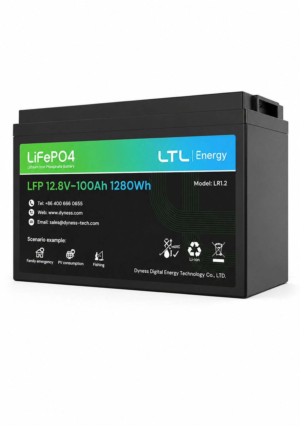 Dyness 12V Battery