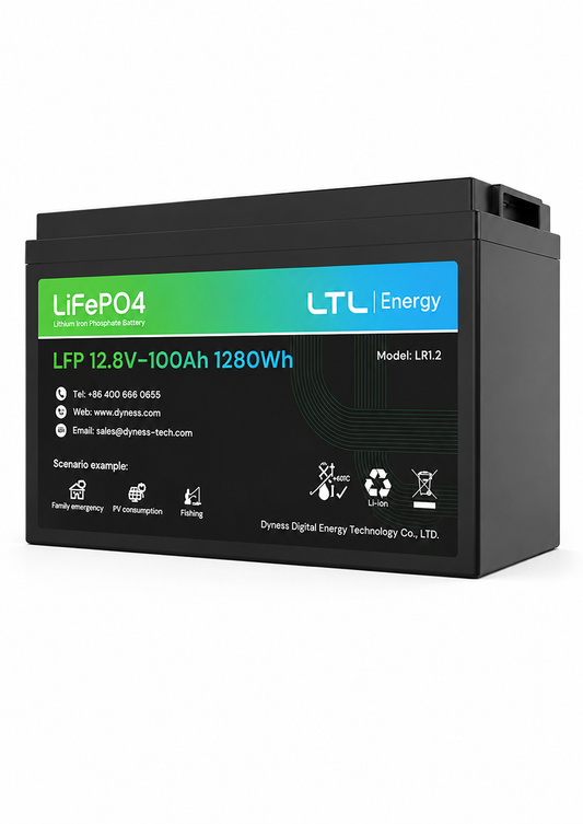 Dyness 12V Battery